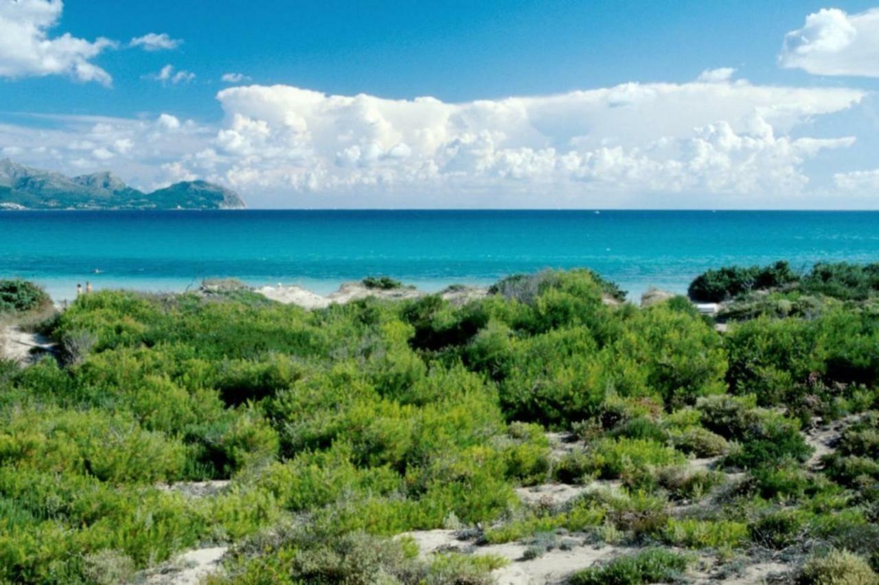 Curling Leilighet Port de Alcudia  Eksteriør bilde